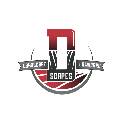 D Scapes